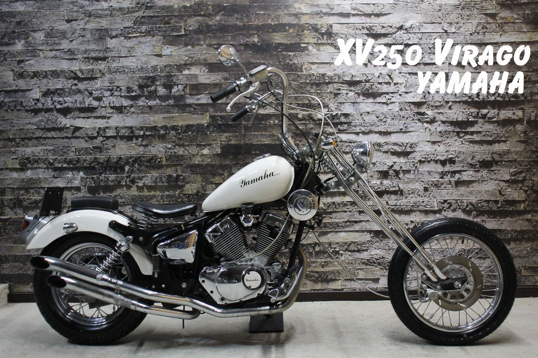 ヤマハ ビラーゴ250 3DM フルカスタム